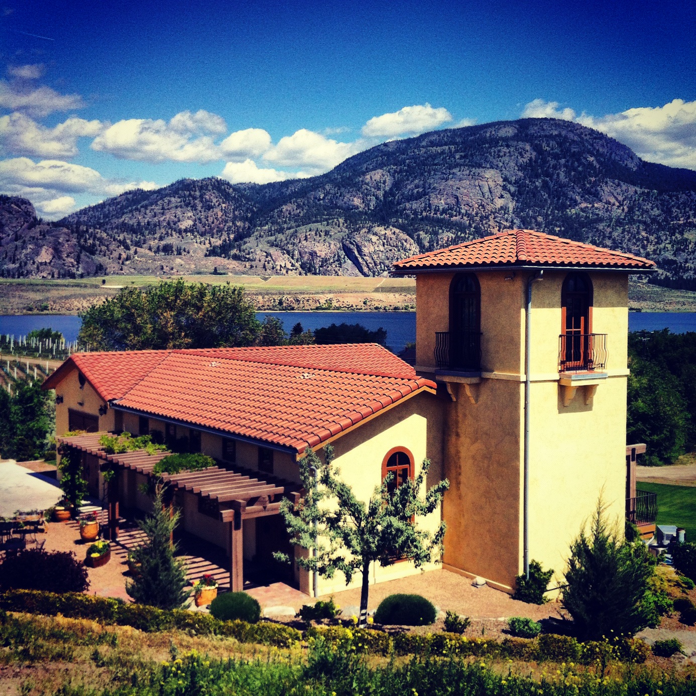 LAS-winery